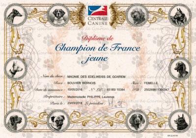 Champion jeune