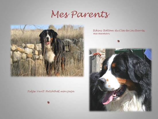 duffy-de-la-confrerie-des-ours-livre-1.jpg