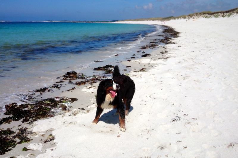 PLAGE DE PLOUDALMEZEAU