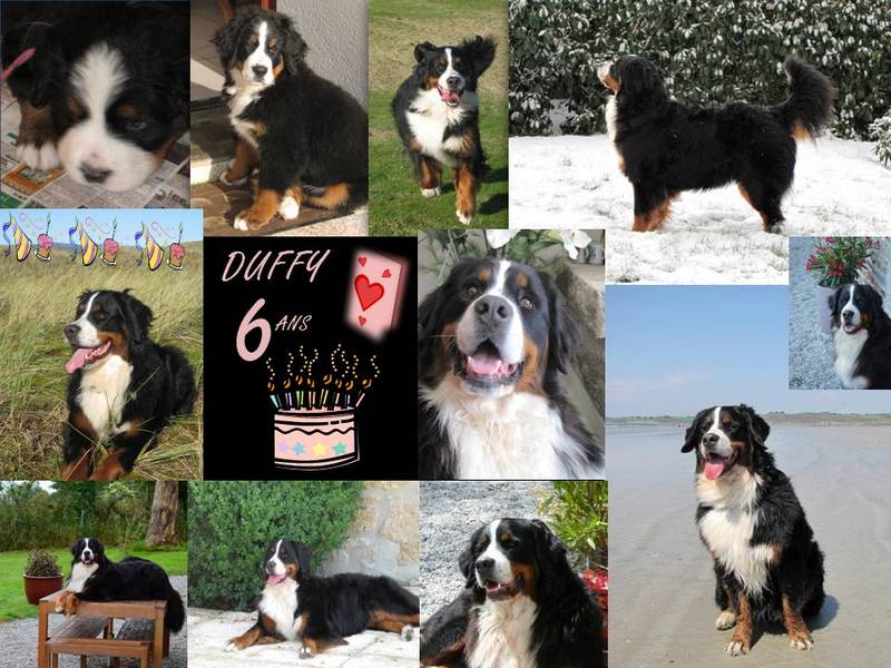 Duffy - 6 ans - 20 09 2014