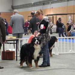 2011-12-11-duffy-12.jpg