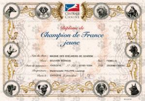 Champion jeune