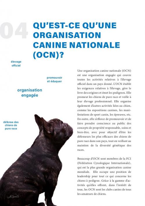 Fci pourquoi choisir un éleveur enregistre auprès d une ocn 004