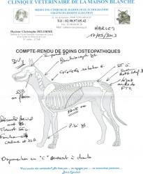 osteo-170913.jpg