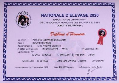 Peps ne 2020