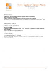 Compte rendu Dc Lemoine
