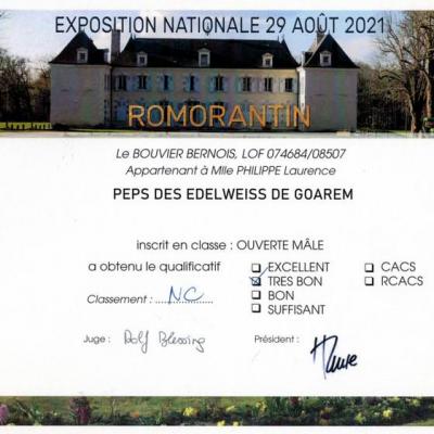 Romorantin 4